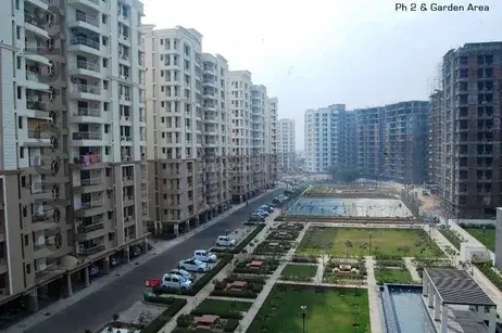 Rangoli Garden